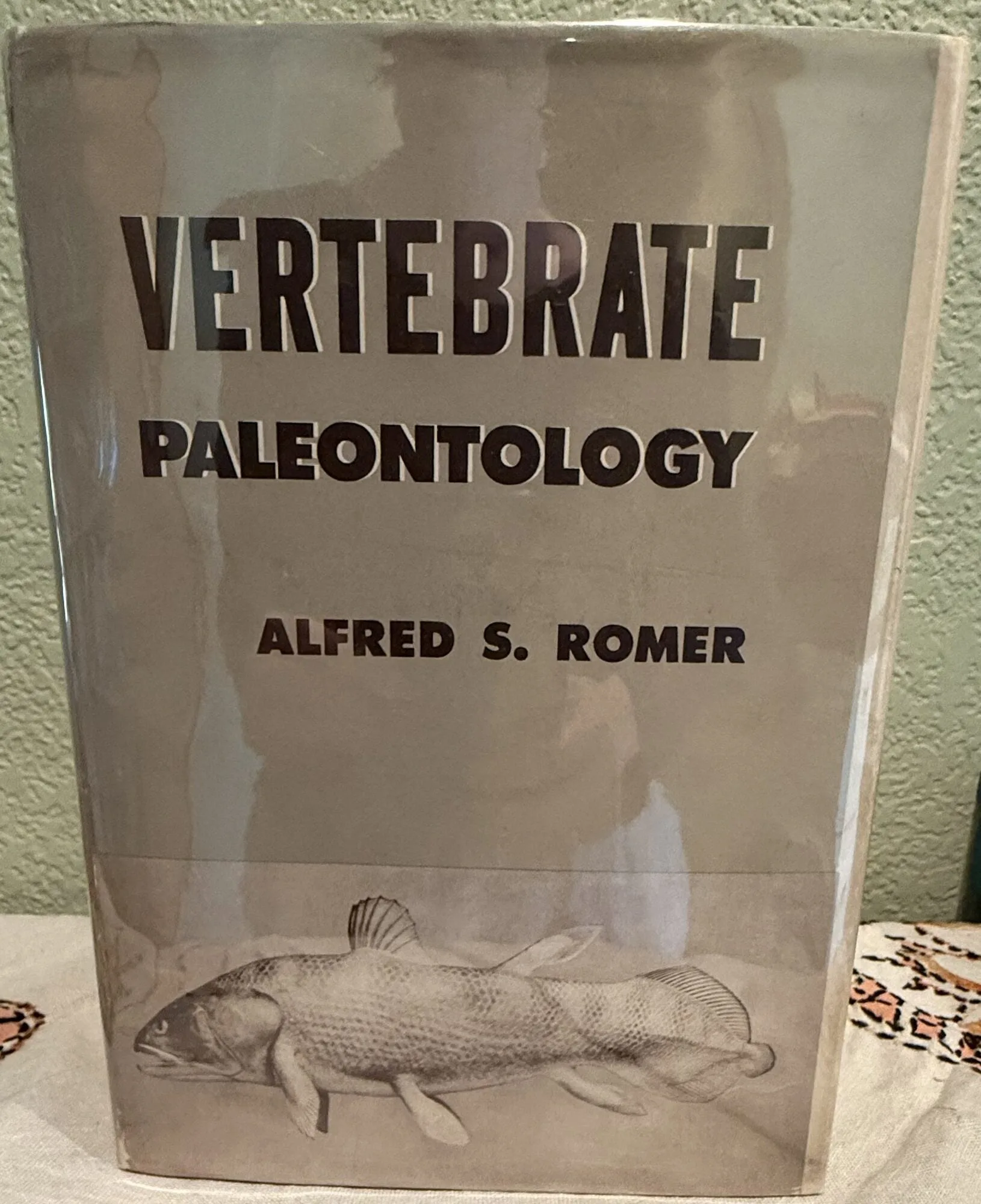 Vertebrate paleontology