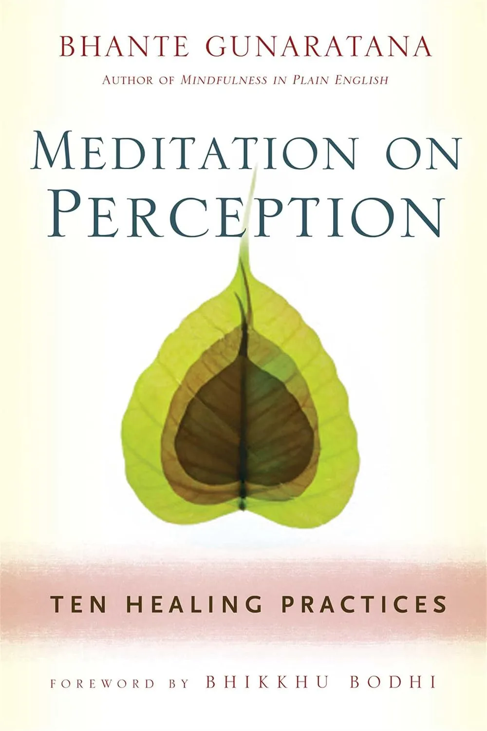 Meditation on perception