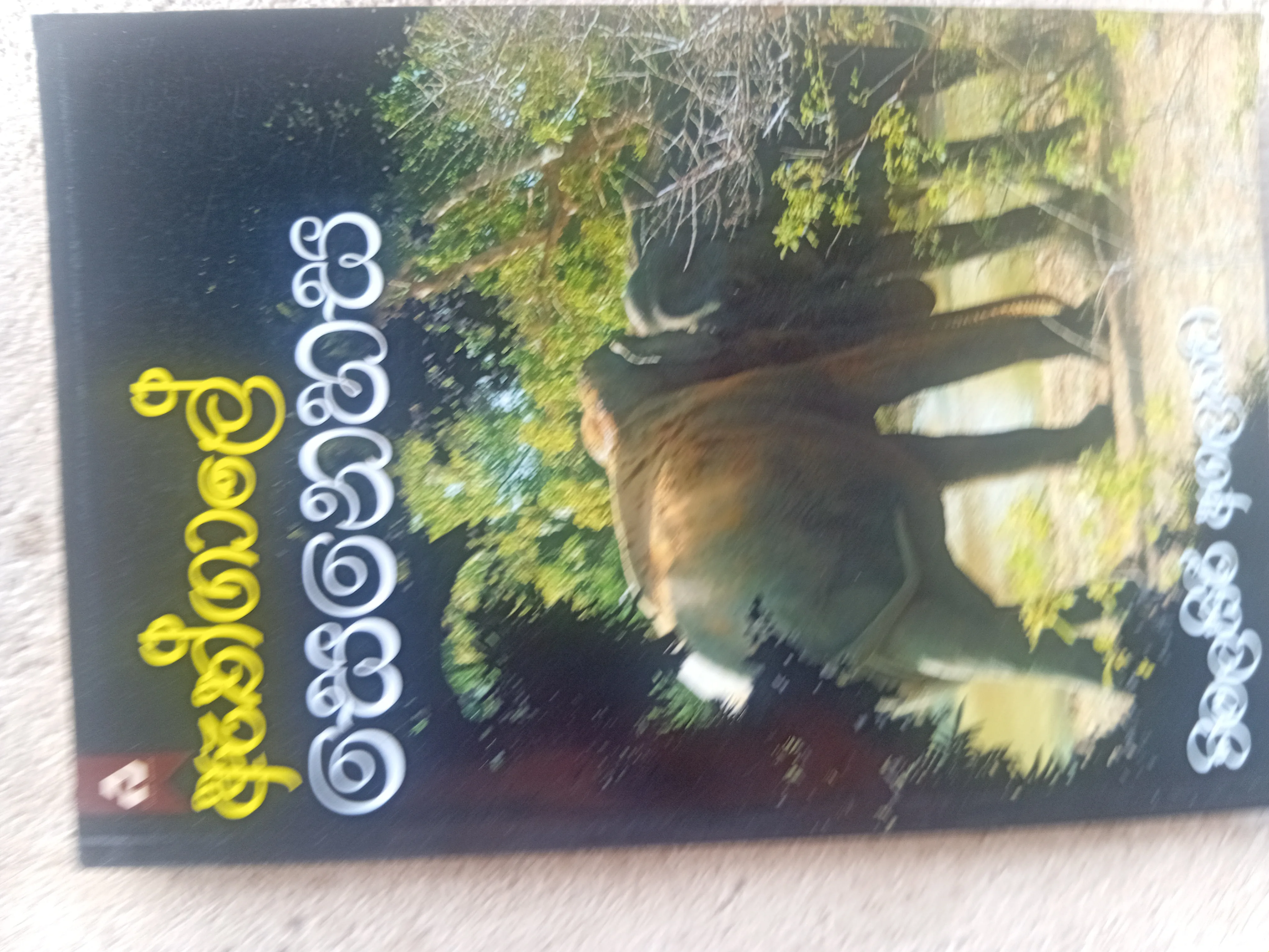 ඇත් ගාලේ සෙනෙහස
