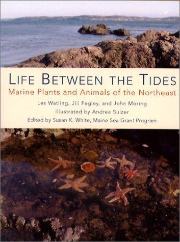 Life Between the Tides