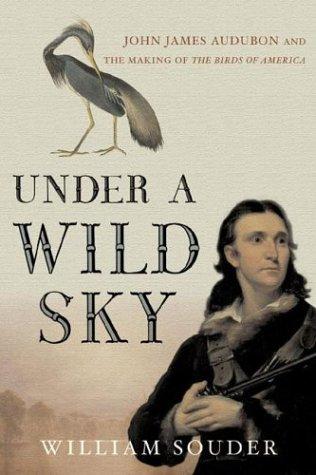 Under a Wild Sky