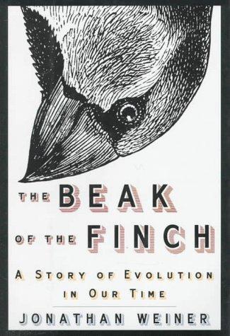 The beak of the finch