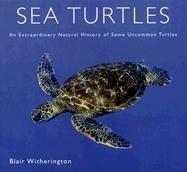 Sea Turtles