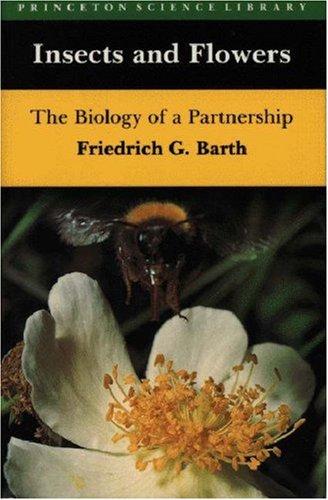 Insects and flowers