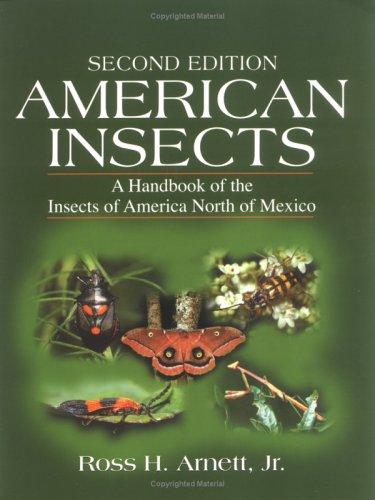 American Insects
