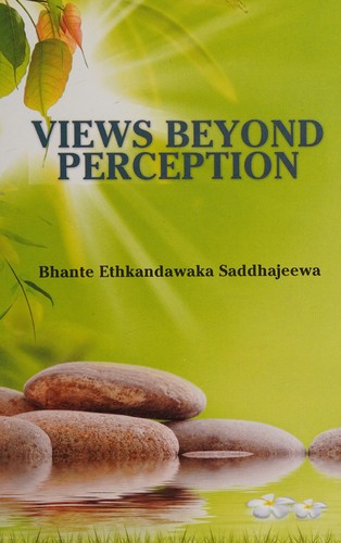 Views beyond perception