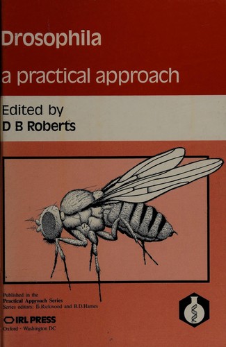 Drosophila