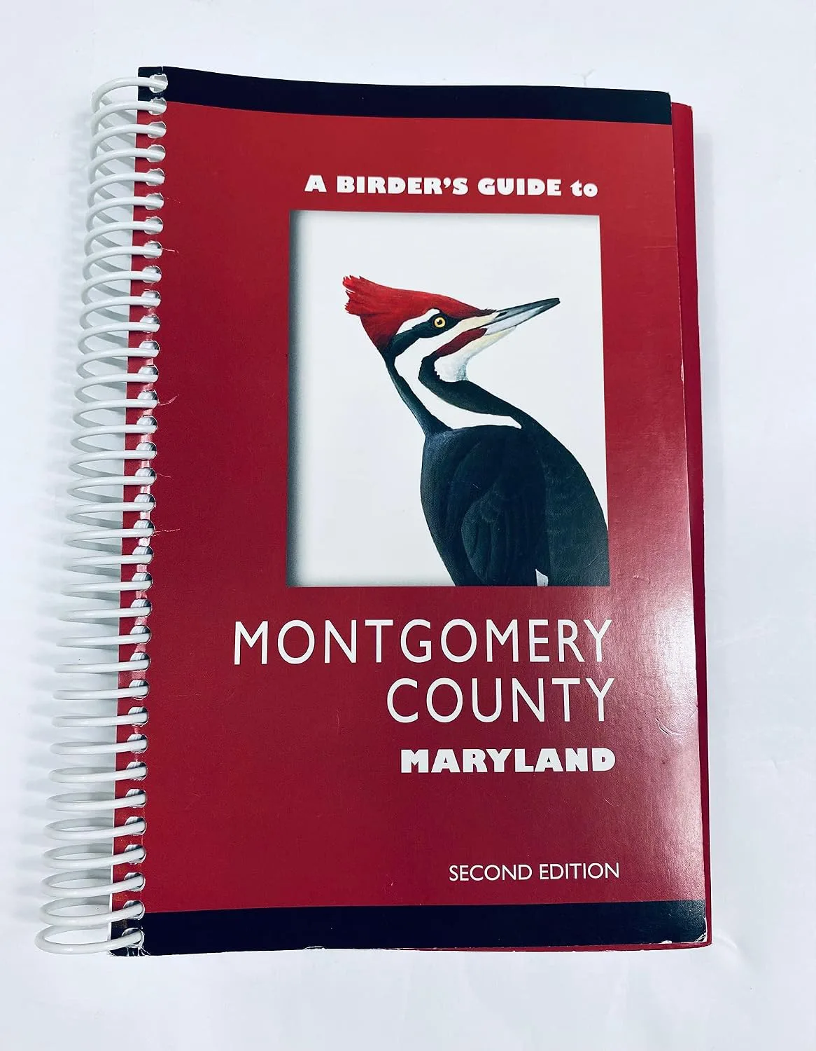 A Birder's Guide to Montgomery County Maryland