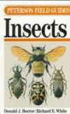 A field guide to the insects of America north of Mexico