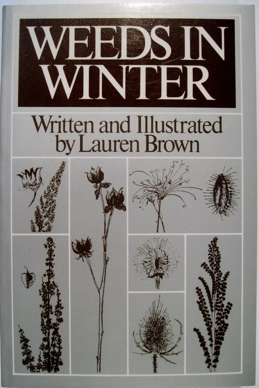 Weeds in winter