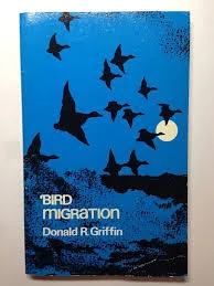 Bird migration