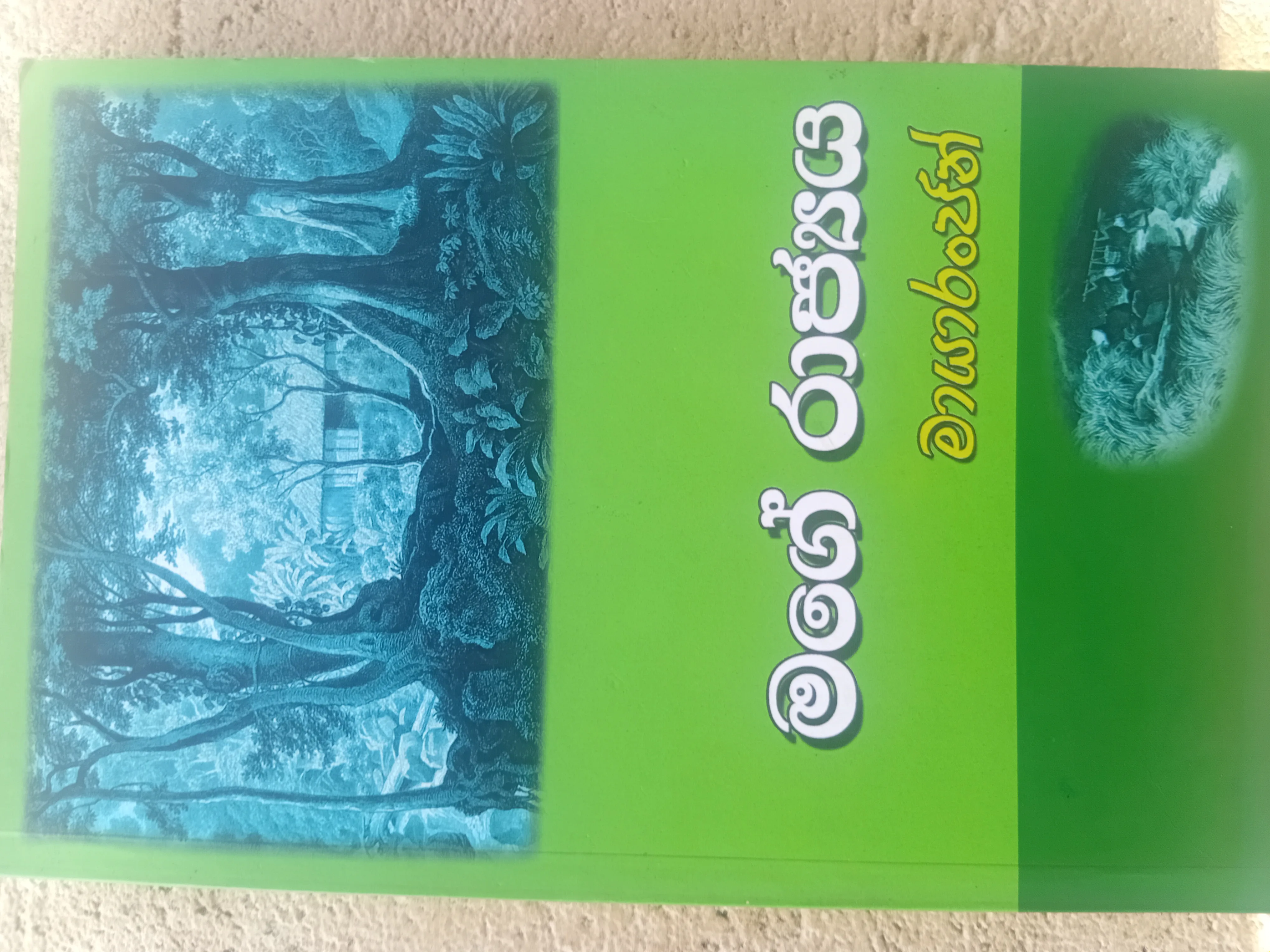 මගේ රාජ්‍යය