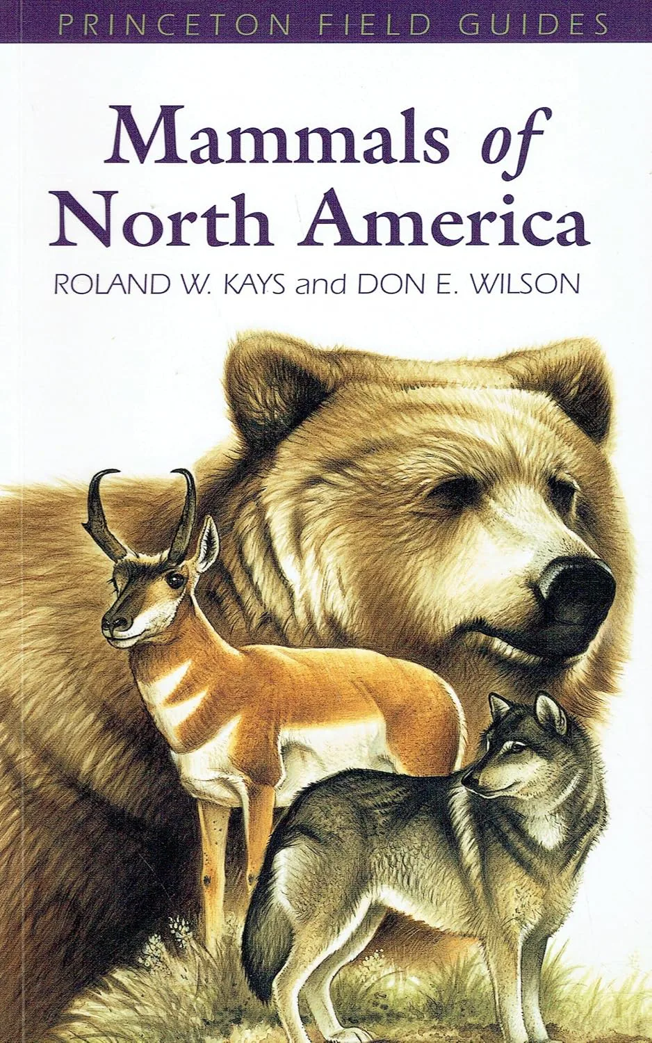 Mammals of North America (Princeton Field Guides)