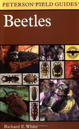 Beetles
