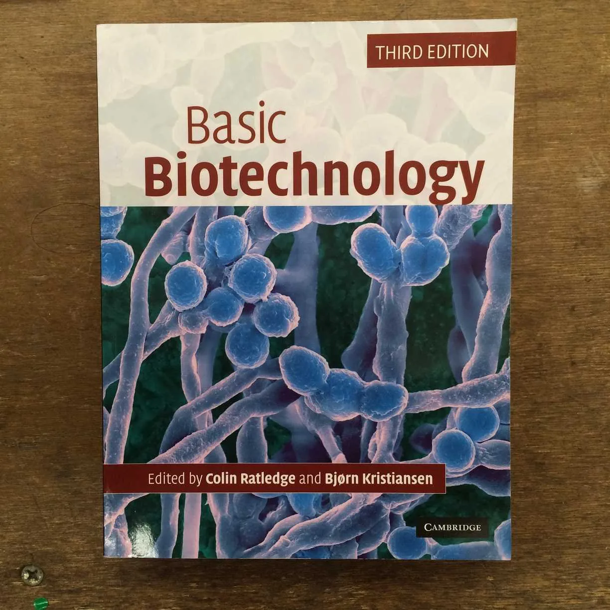 Basic Biotechnology