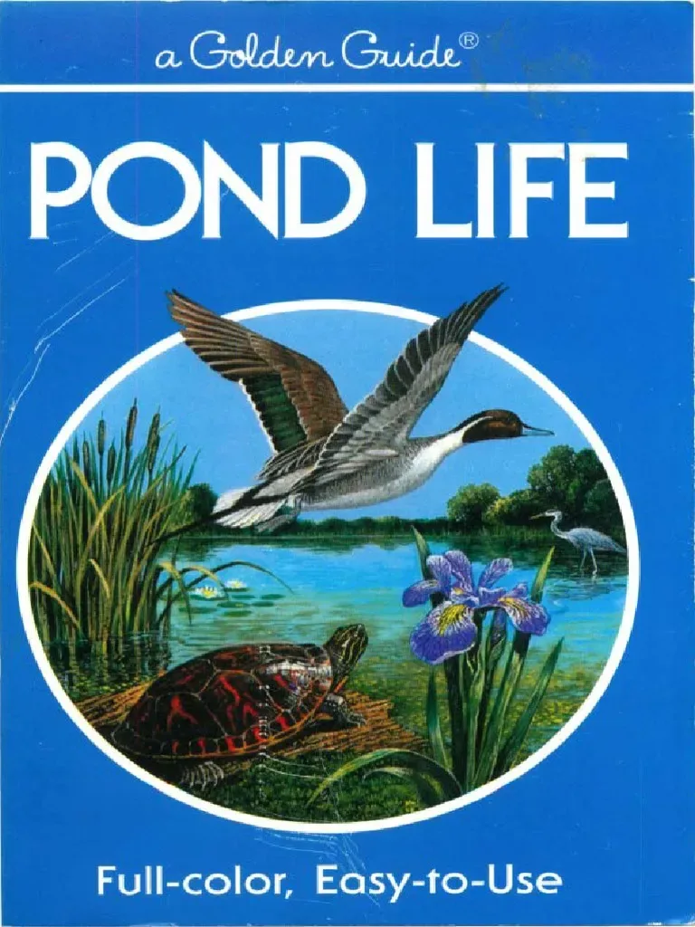 Pond Life